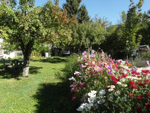 Bed & Breakfast Au Vieux Tilleul