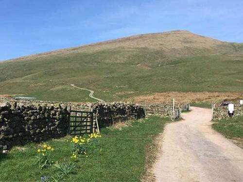 Stoney Beck