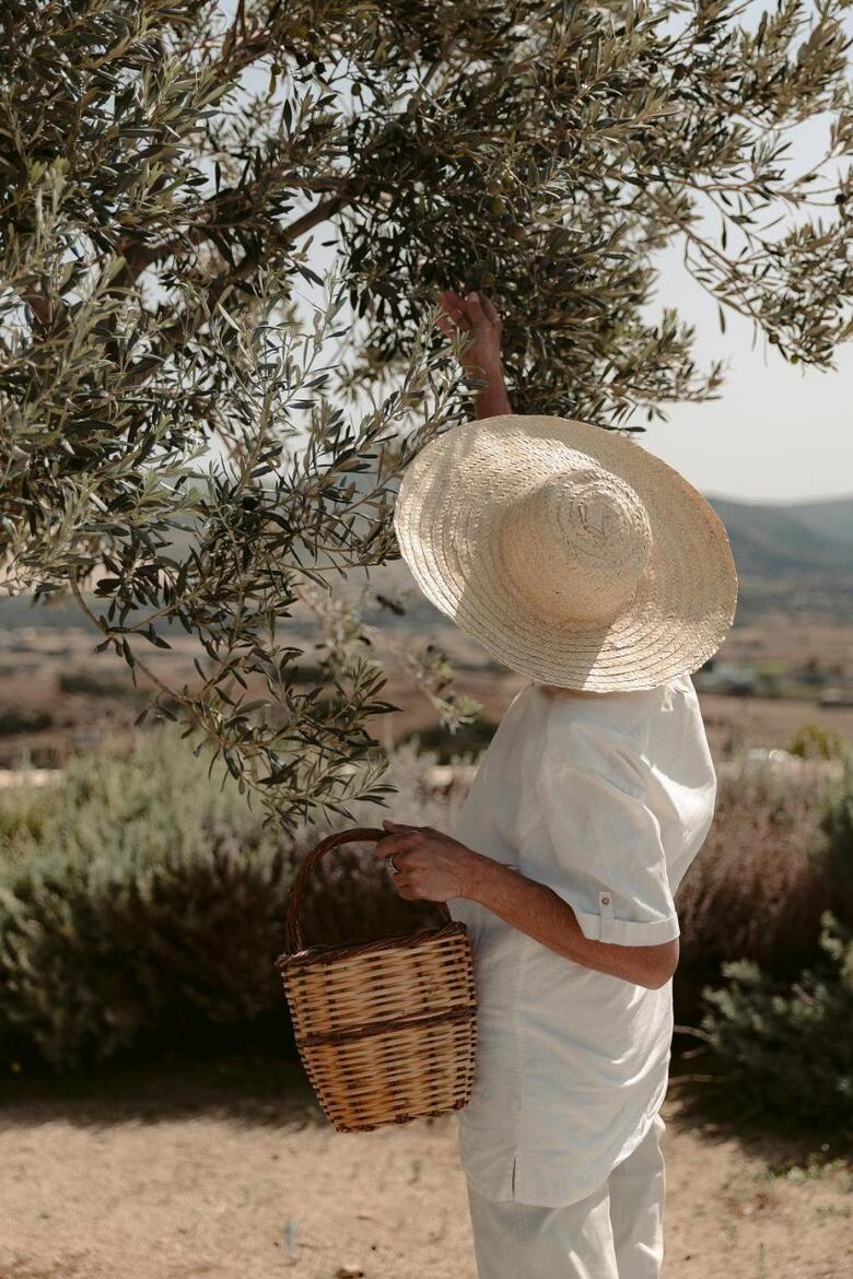 Agroturismo Ayiopetra Exclusive Getaways