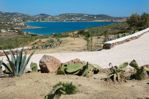Natura Villas Paros