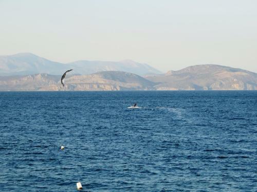 Apartamento Blue Sky Studios