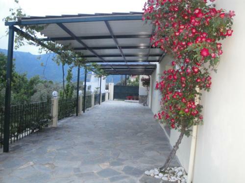 Nestor Apartments