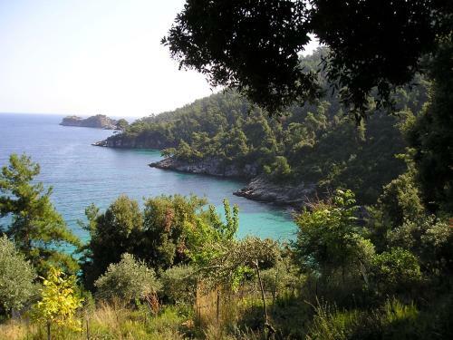 Apartamento Golden Beach Inn