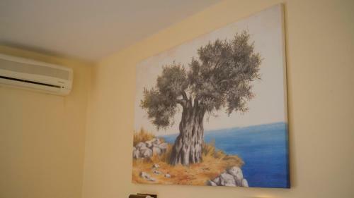 Aparthotel Aneton