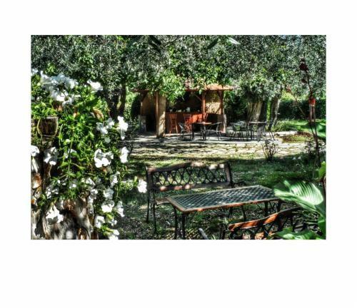 Aparthotel Aneton