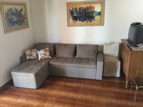 Apartment Vitomir