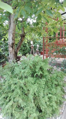 Apartamento Gabriella Nyaral�