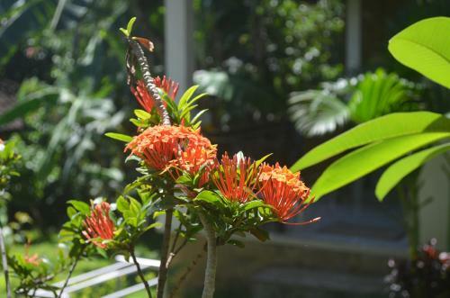 Sinar Bali 1 Bungalows