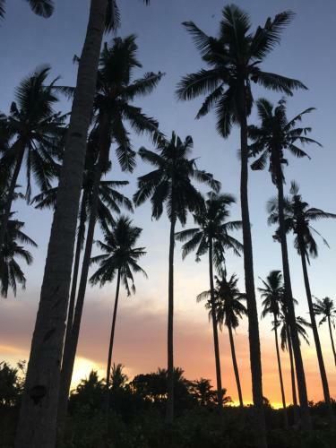 Hostal Medewi Secret Surfcamp