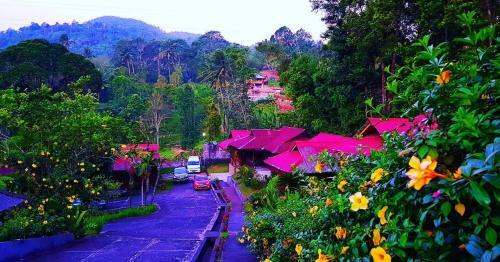 Highland Resort & Nature Tours