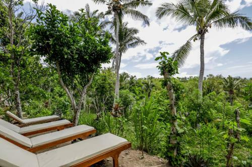 Hostal Atuh Forest Cottage