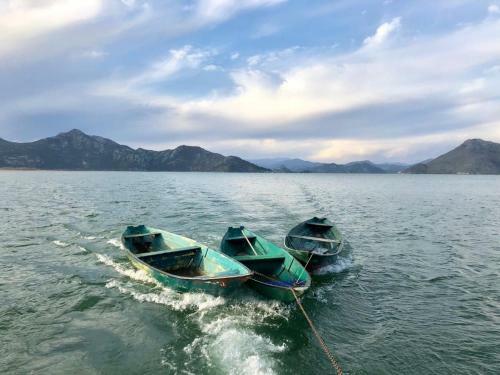 Skadar Lake Apartments Pajovic