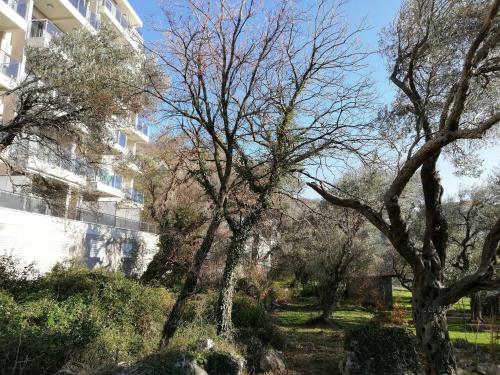 Apartment Olive Montenegro Ko Becici