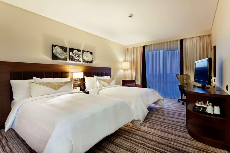 Hotel Hilton Garden Inn Mardin