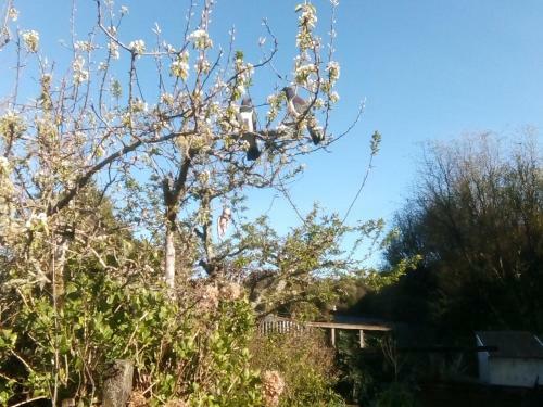 Bed & Breakfast Kaniere Bridge Home Stay