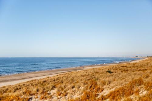 Ocean Beach Getaway