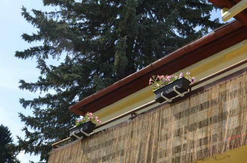Hostal Willa Sloneczna