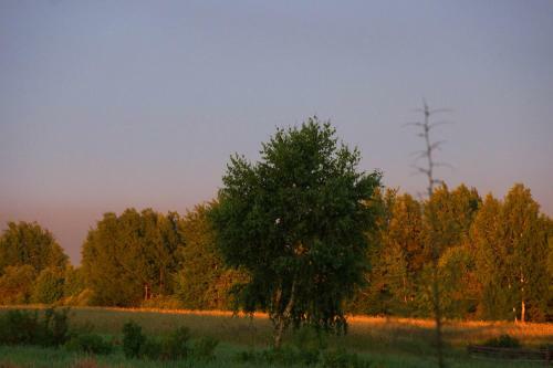 Bed & Breakfast Aleksandryn