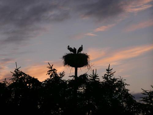 Agroturismo Nad Dolin? Krutyni