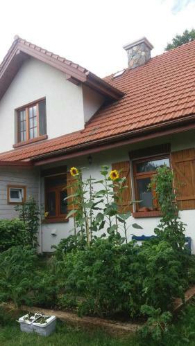 Bed & Breakfast Domowy Zak?tek