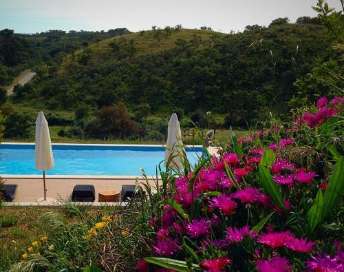 Agroturismo Casas De Campo Do Castro Da Cola