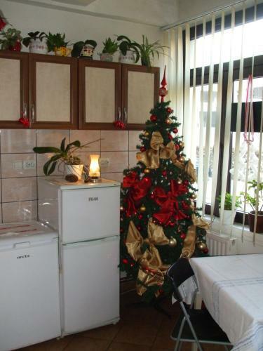 Hostal Pensiunea Soimul