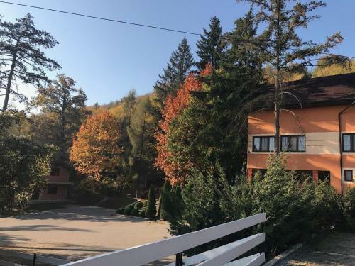 Hotel Pensiunea Turistica Cabana Bradet