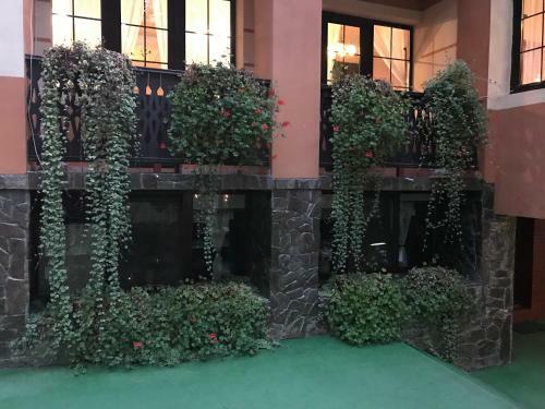 Hotel Pensiunea Turistica Cabana Bradet