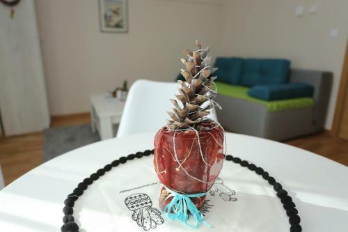Mipet Apartmani Zlatibor