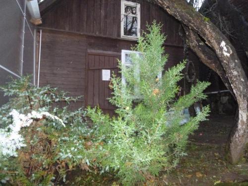 Posada Guest House In Bugrovo