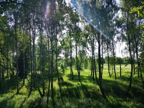 Agroturismo Eco-cottage Losinoye