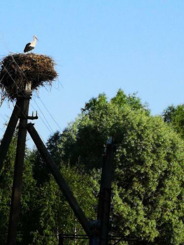 Agroturismo Eco-cottage Losinoye
