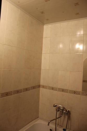 Apartment Berezovaya Roscha