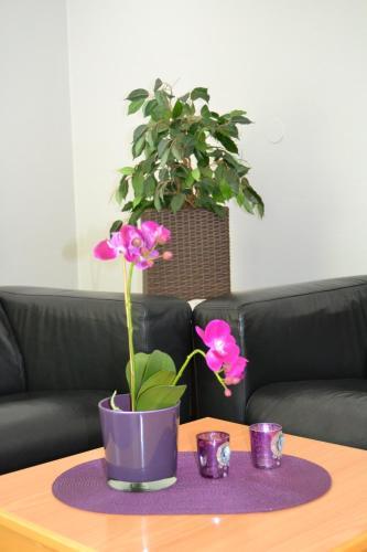 Albergue Rjukan Gjestegaard