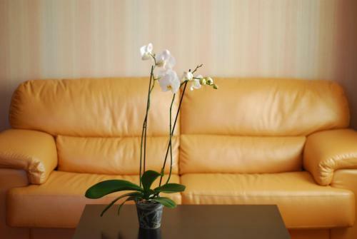 Anri Hotel