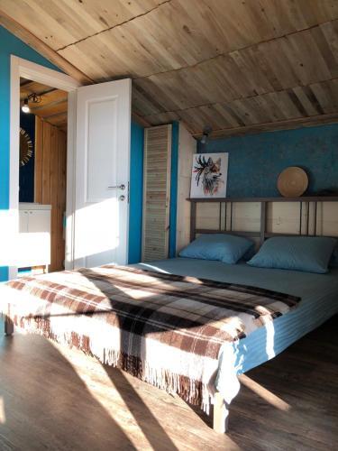 Hostal Free???