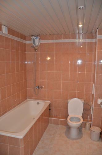 Hotel Zheleznogorsk