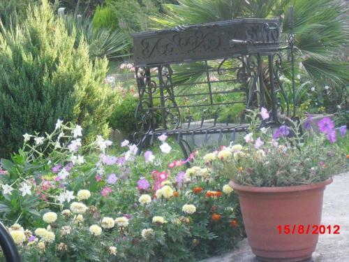 Hostal Guesthouse Svetlana