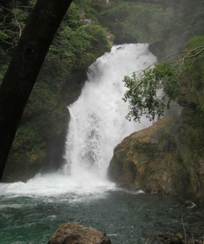 Apartment Krek