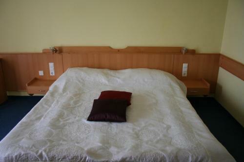Hotel Botra