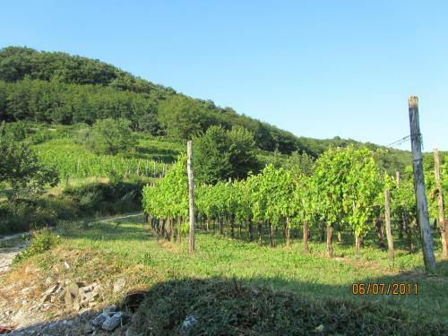 Agroturismo Tourist Farm Arkade