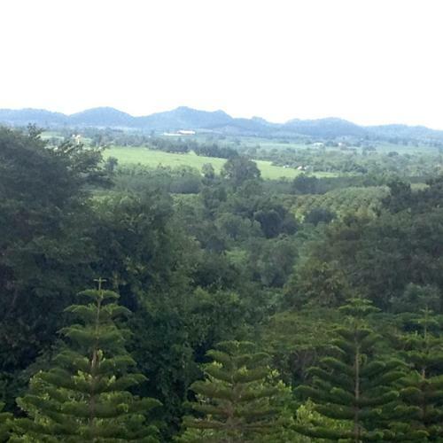 Hotel Khaoyai Nature Retreat