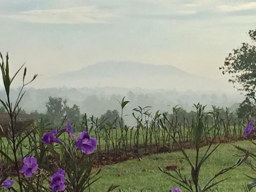 Hotel Khaoyai Nature Retreat