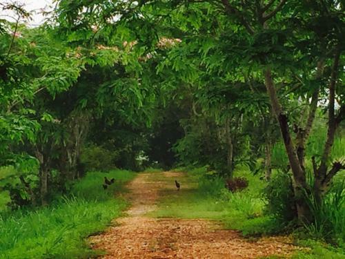 Hotel Khaoyai Nature Retreat