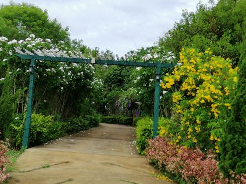 Hotel Khaoyai Nature Retreat