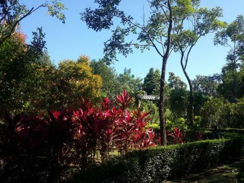 Hotel Khaoyai Nature Retreat