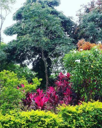 Hotel Khaoyai Nature Retreat