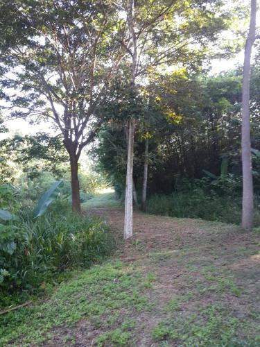 Hotel Khaoyai Nature Retreat