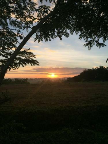 Hotel Khaoyai Nature Retreat