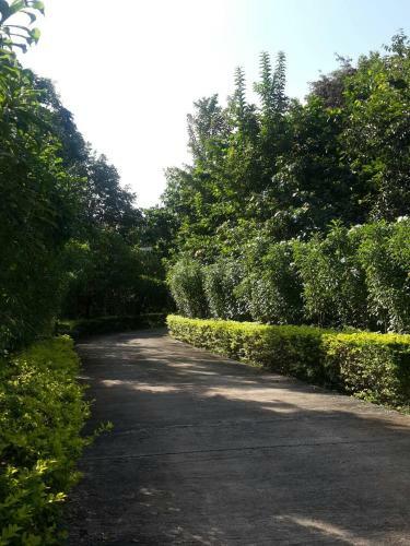Hotel Khaoyai Nature Retreat